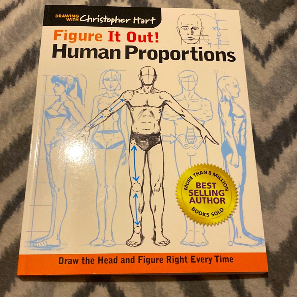 Figure It Out Human Proportions